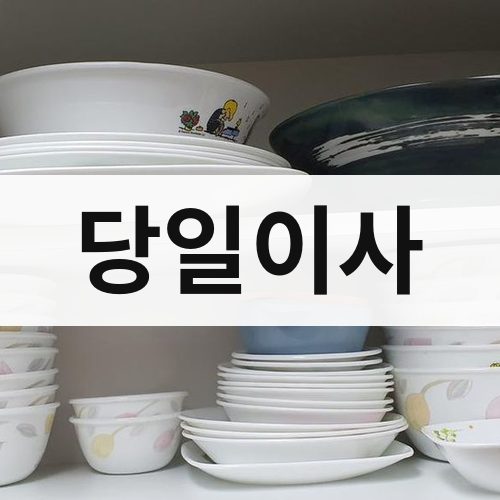 경북 서남부 당일이사 포장이사